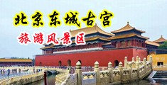 艹逼日屄视频网站中国北京-东城古宫旅游风景区